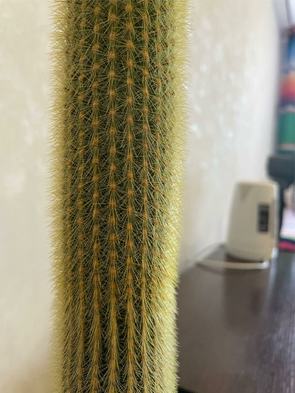 Гостевой дом Форсаж Бийск-129