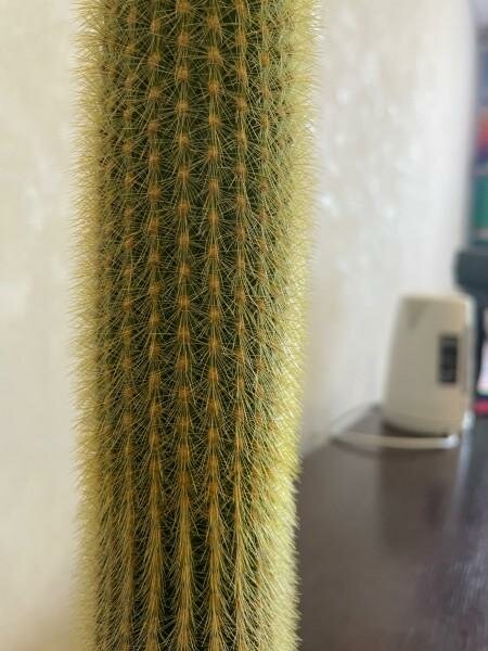 Гостевой дом Форсаж Бийск-24