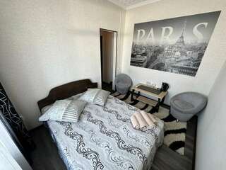 Гостевой дом Форсаж Бийск Двухместный номер Делюкс с 1 кроватью или 2 отдельными кроватями-6