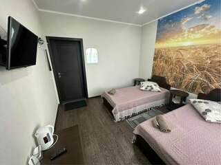 Гостевой дом Форсаж Бийск Двухместный номер Делюкс с 2 отдельными кроватями-4