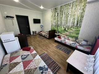 Гостевой дом Форсаж Бийск Классический четырехместный номер-3