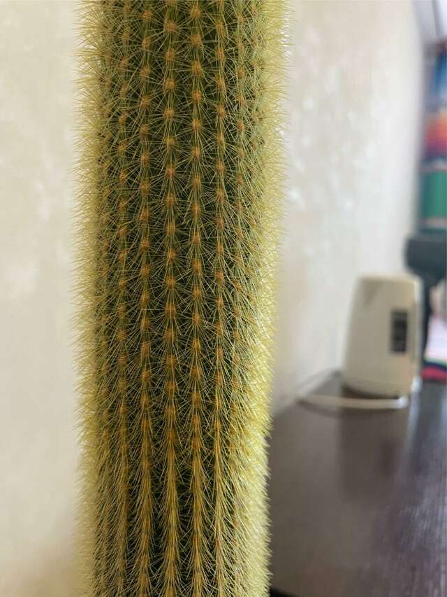 Гостевой дом Форсаж Бийск-128